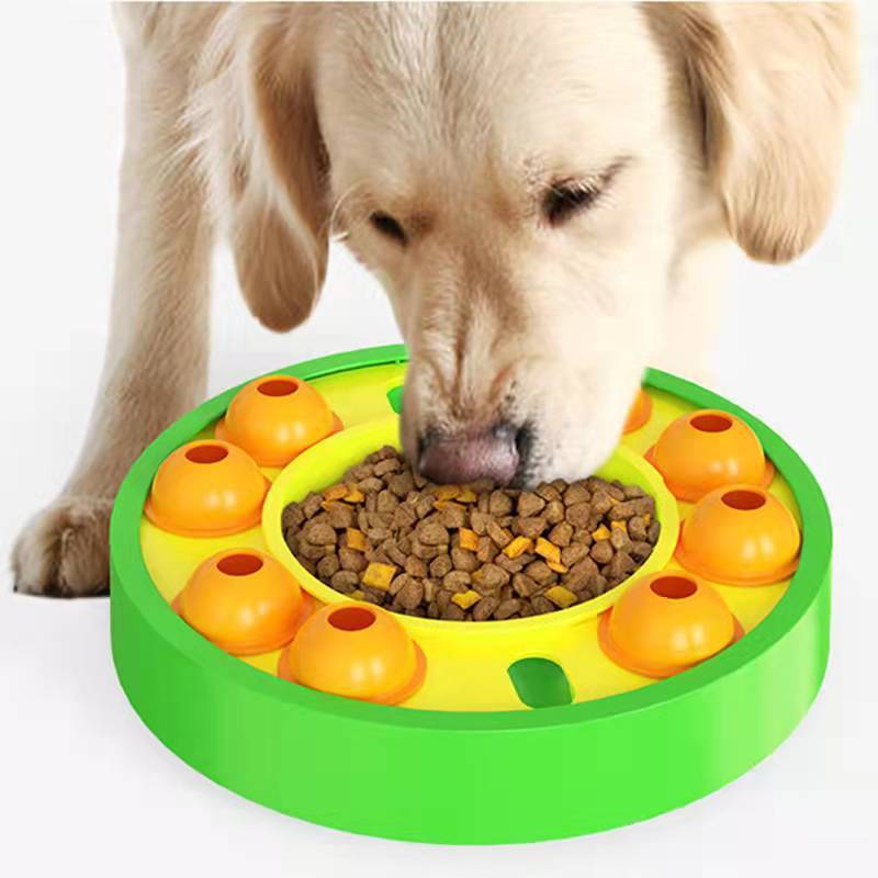 Pets Puzzle Toys